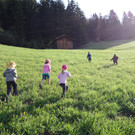 Kr__uterwanderung_ am 25_4 _11_.JPG