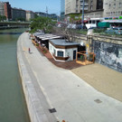 Blumenwiese am Donaukanal