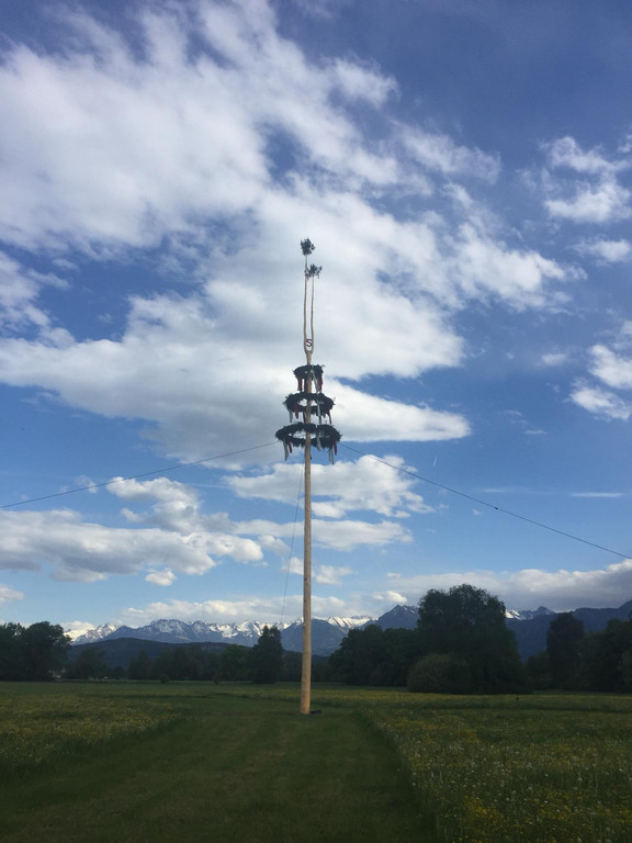 maibaum2018.jpg