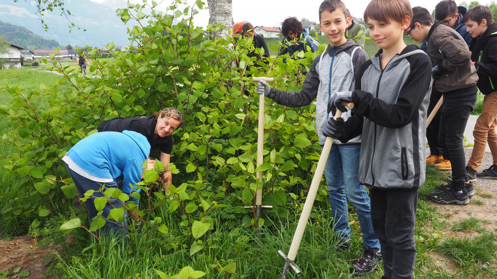 _P5020080_header.JPG