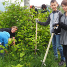 Moordetektive im Frastanzer Ried