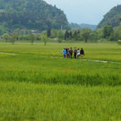 P5020103.JPG