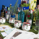 Vienna Gin Festival _12_.jpg