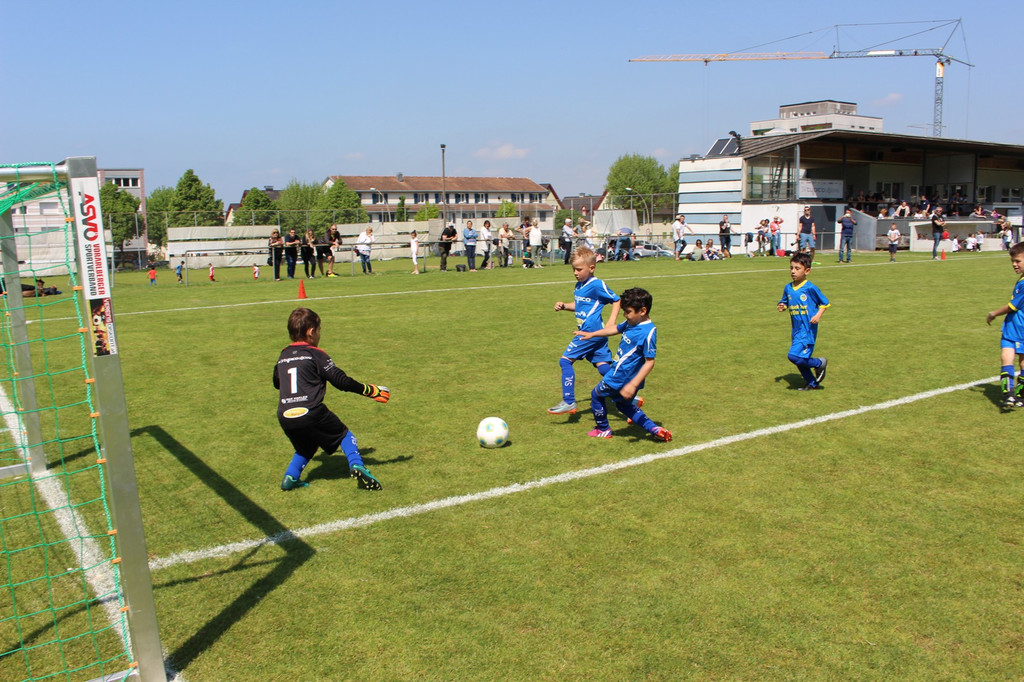 Fu__ball NACHWUCHS U7 A Turnier in Lochau 05-05-2018 _9_.JPG