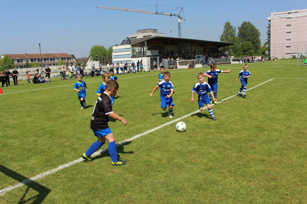 Fu__ball NACHWUCHS U7 A Turnier in Lochau 05-05-2018 _17_.JPG