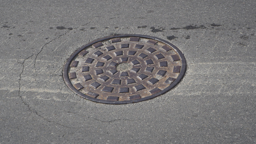 P5059295.JPG