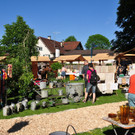 Aurelia "Reli" Peter - Altacher Dorfmarkt
