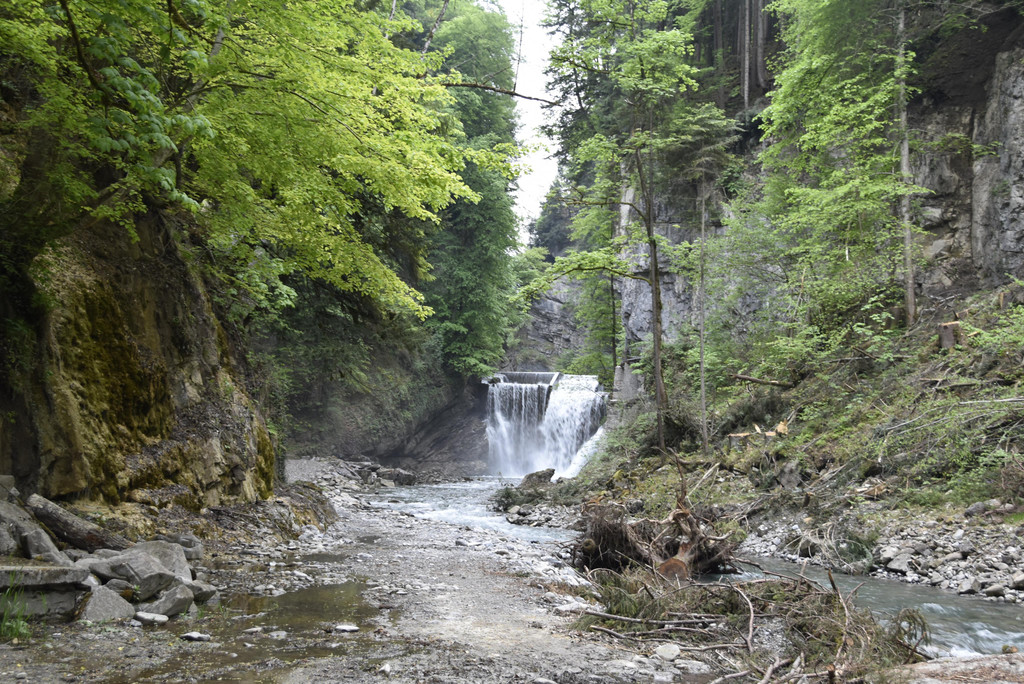 _DSC4637.JPG