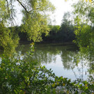 P4278449.JPG