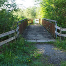 P4278454.JPG