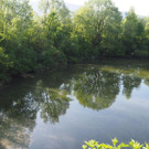 P4278457.JPG