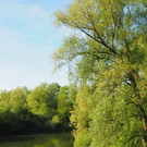 P4278460.JPG