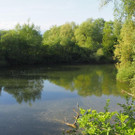 P4278462.JPG