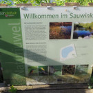 P4278464.JPG