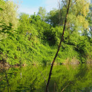 P4278481.JPG