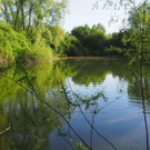 P4278482.JPG