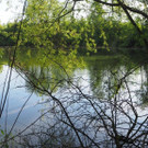 P4278484.JPG
