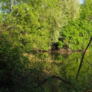 P4278487.JPG