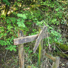 P4278491.JPG