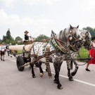 004_Stiegl_Maibaum_SN_060518.jpg