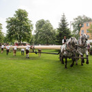 006_Stiegl_Maibaum_SN_060518.jpg