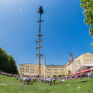 012_Stiegl_Maibaum_KR_060518.jpg