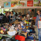 IMG_6541_JPG-1525621062.jpg