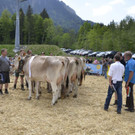 Jubiläumsausstellung Viehzuchtverein Mellau