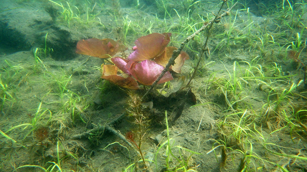 RIMG0458.JPG