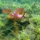 RIMG0458.JPG