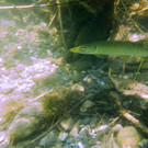 RIMG0473.JPG
