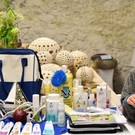 Kleine, feine Frühlings Ausstellung