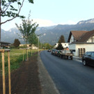 DSC06501.JPG