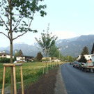 DSC06502.JPG