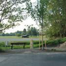 DSC06503.JPG