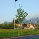 DSC06506.JPG