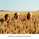 Frauenpower im Freudenhaus