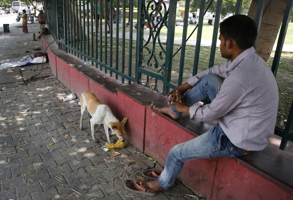 India_Dog_Attacks_30905.jpg