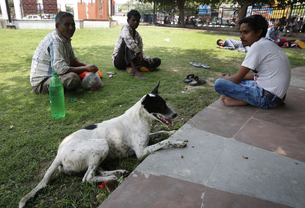 India_Dog_Attacks_47661.jpg