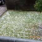 Hagelschauer in Vorarlberg
