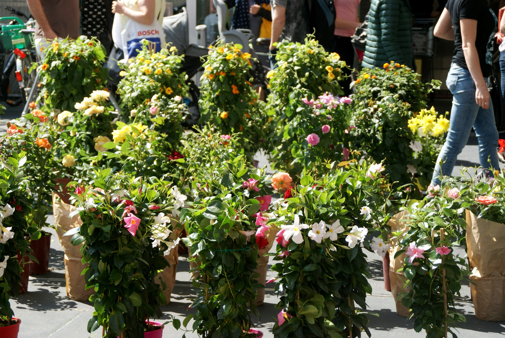 Alles f__r den Muttertag.JPG