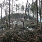 DSCN0036.jpg