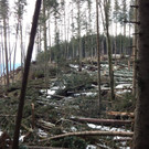 DSCN0037.jpg