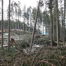 DSCN0039.jpg