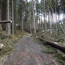 DSCN0042.jpg
