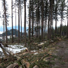 DSCN0050.jpg
