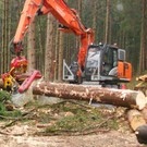 Wittele-Emmebach 002.JPG