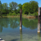 P4278556.JPG