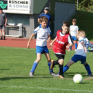 DSC08810.JPG