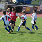DSC08944.JPG